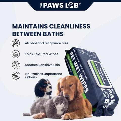 Pet Wet Wipes
