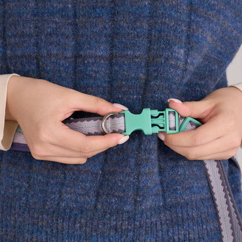 Taro Biscuit Hands-free Leash