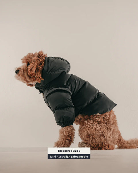 The Modular Puffer