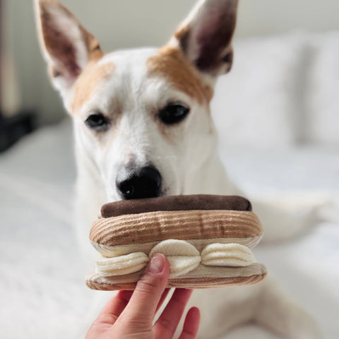 ECLAIR // ENRICHMENT DOG TOY // SNUFFLE TOY