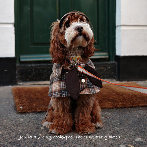 Sherlock Warm Plaid Jacket