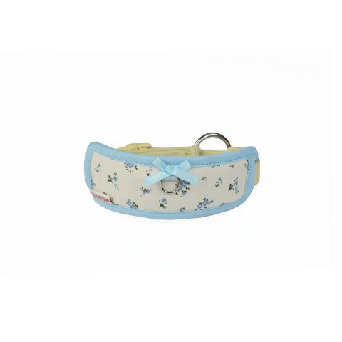 Chelsea Everyday Collar