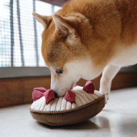 BERRY PIE // ENRICHMENT DOG TOY // SNUFFLE