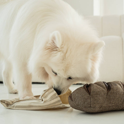 RYE // ENRICHMENT DOG TOY // SNUFFLE TOY *Best*
