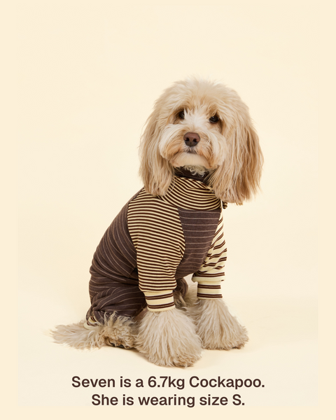 Canelé Striped Dog Onesie