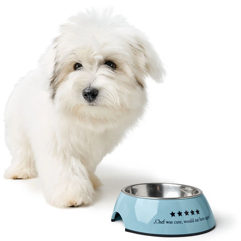 Melamine feeding bowl