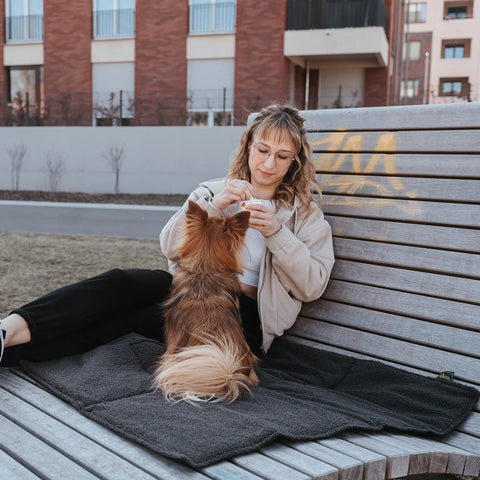 SEOUL Foldable Travel Blanket for Dogs