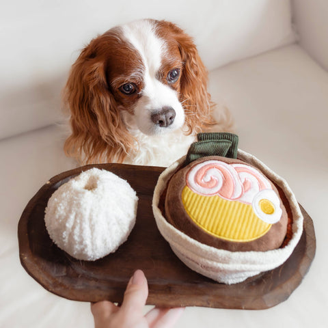 RAMEN Snuffle & Squeaky Dog Toy