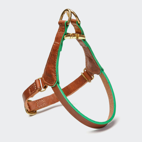 Prince Park Harness