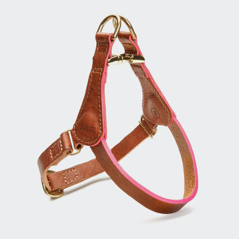Prince Park Harness