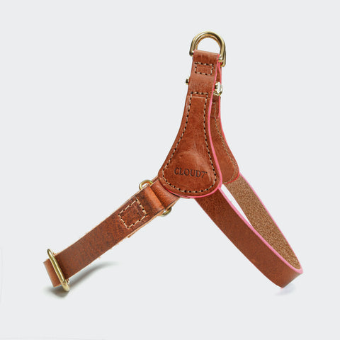 Prince Park Harness