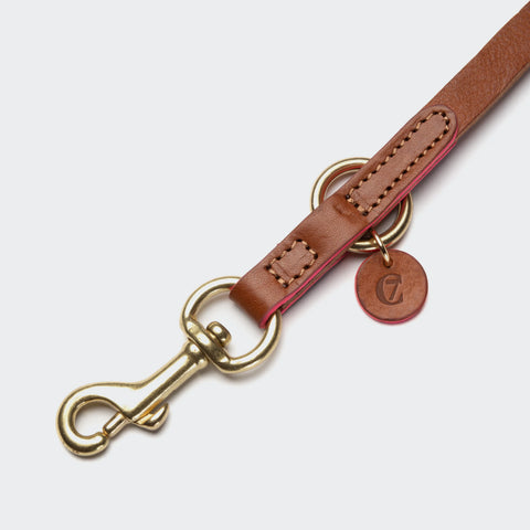 Prince Park Leash