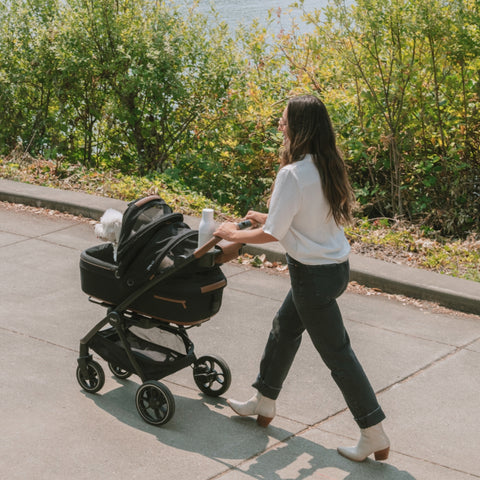 Tavo Roscoe Pet Stroller Frame