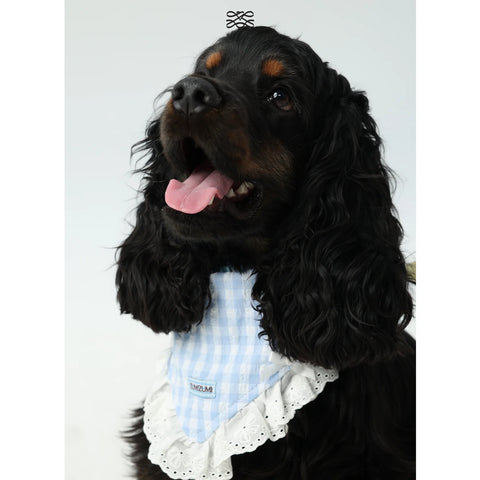 JAM Lace Bandana