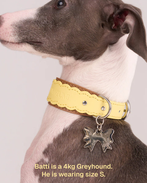 Scalloped Leather Collar