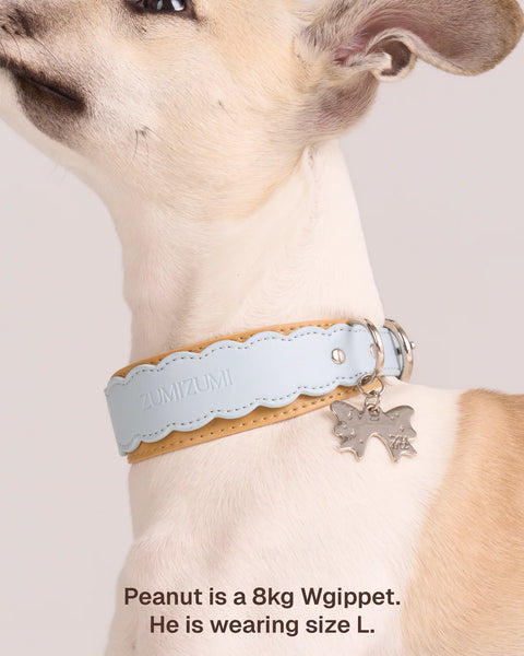 Scalloped Leather Collar