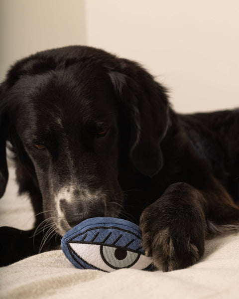 PICASSO // ENRICHMENT DOG TOY // Snuffle Set