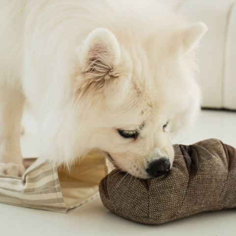 RYE // ENRICHMENT DOG TOY // SNUFFLE TOY *Best*