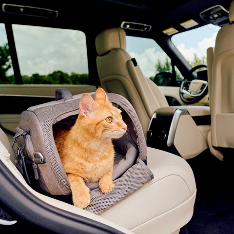 Tavo Dupree Pet Car Seat & Airline Travel Carrier