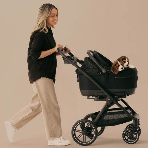 Tavo Maeve ISO7X-L Dog Car Seat & Pet Carrier with Integrated ISOFIX