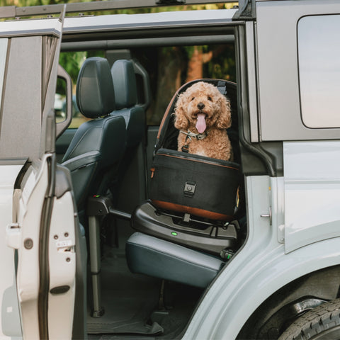 Tavo Maeve Rigid Handle Dog Car Seat & Pet Carrier with ISOFIX Base