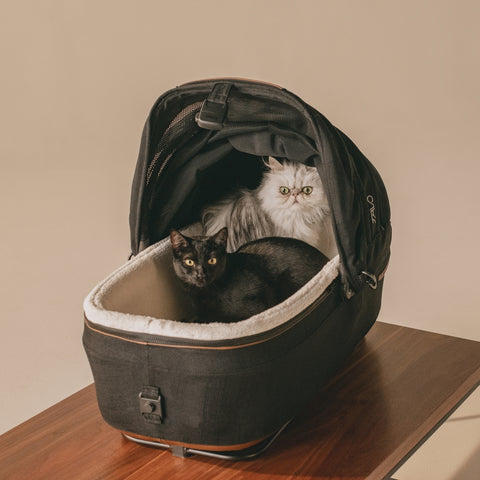 Tavo Maeve Flex Handle Dog Car Seat & Pet Carrier with ISOFIX Base
