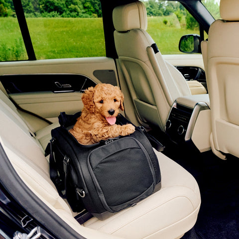 Tavo Dupree Pet Car Seat & Airline Travel Carrier