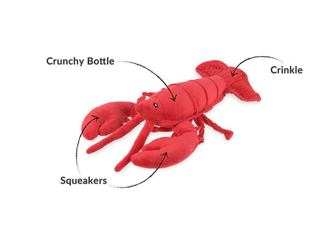 Ocean Buddies - Lobster