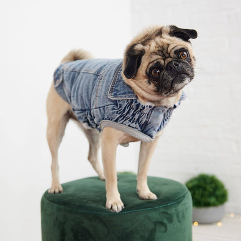 Denim Winter Jacket - Light Wash