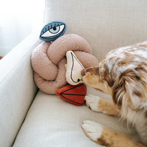 PICASSO // ENRICHMENT DOG TOY // Snuffle Set