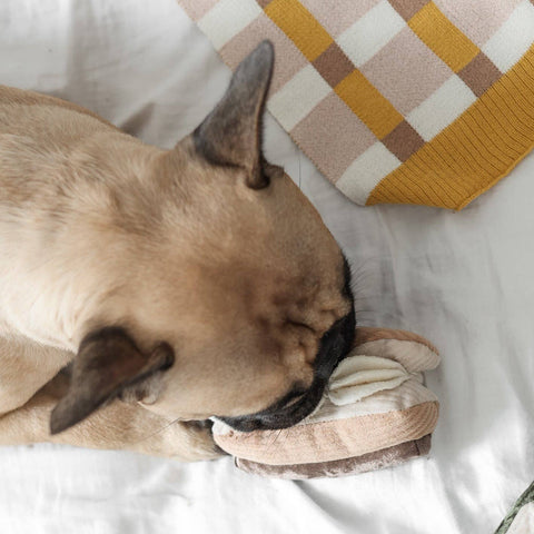 ECLAIR // ENRICHMENT DOG TOY // SNUFFLE TOY