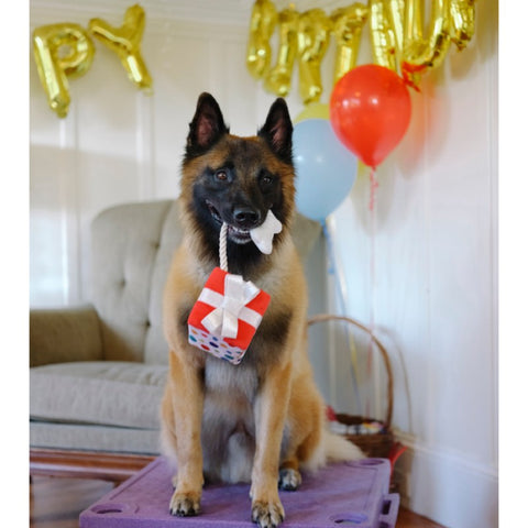 Party Time Pawfect Present Plush Dog Toy