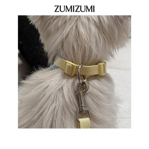 Chelsea Everyday Collar