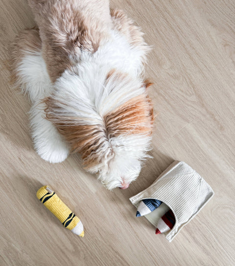 CRAYONS // ENRICHMENT DOG TOY // Squeaky + Snuffle Set
