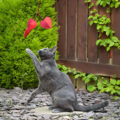 Cath Kidston Hearts & Roses 3 Hearts Cat Teaser