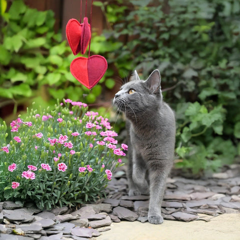 Cath Kidston Hearts & Roses 3 Hearts Cat Teaser