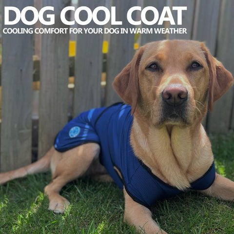 Cooling Dog Coat