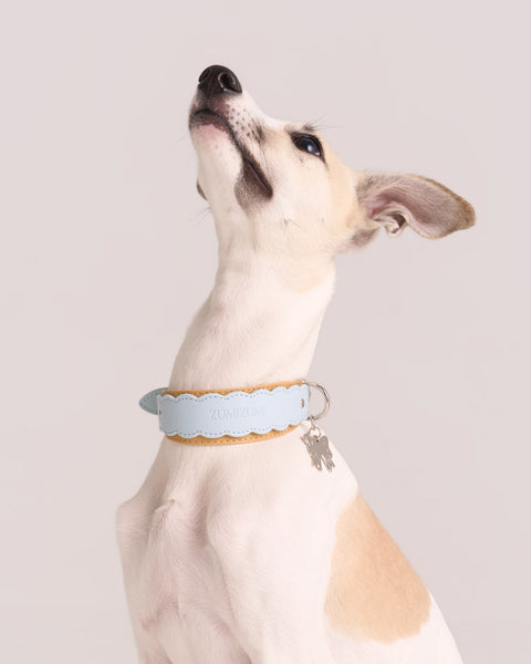 Scalloped Leather Collar