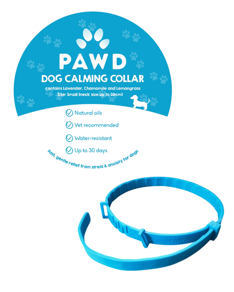 PAWD Calming Collar (Small)