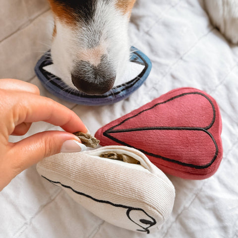 PICASSO // ENRICHMENT DOG TOY // Snuffle Set