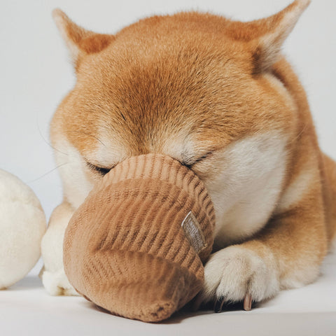 ICE CREAM POP // ENRICHMENT DOG TOY // Squeaky + Snuffle
