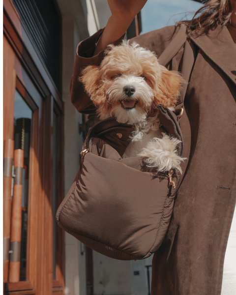 Puffer Dog Carrier Bag