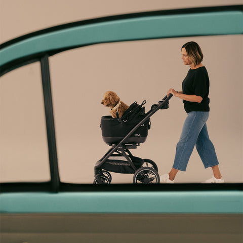 Tavo Maeve ISO5X Dog Car Seat & Pet Carrier with Integrated ISOFIX