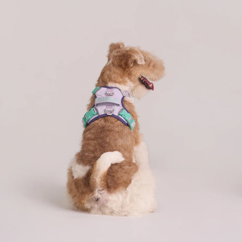 Chelsea Taro Pie Harness