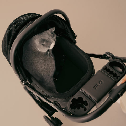 Tavo Maeve ISO7X-L Dog Car Seat & Pet Carrier with Integrated ISOFIX