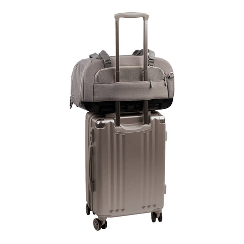 Tavo Dupree Pet Car Seat & Airline Travel Carrier