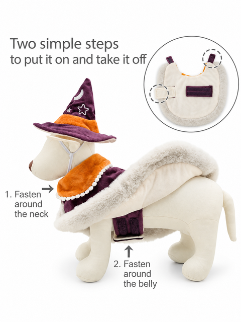 Wizard Cape (Halloween)
