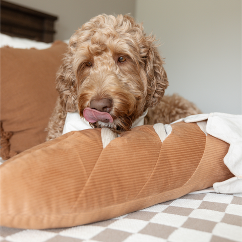 GIANT BAGUETTE // ENRICHMENT DOG TOY // Snuffle + Cuddle Toy