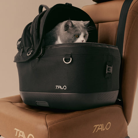 Tavo Maeve ISO5X Dog Car Seat & Pet Carrier with Integrated ISOFIX