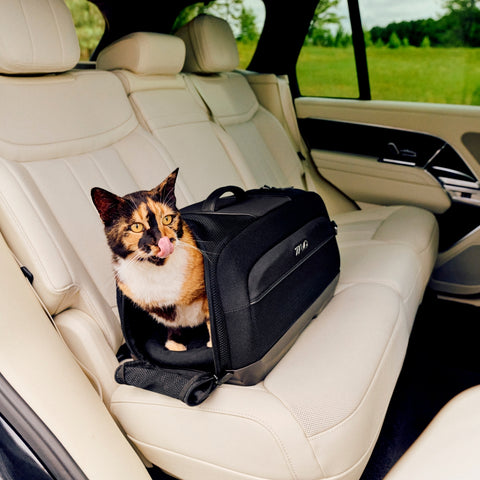Tavo Dupree Pet Car Seat & Airline Travel Carrier
